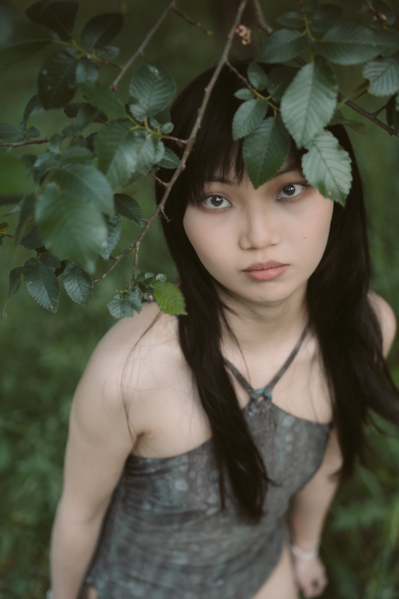 Nature within.: Forest Gaze